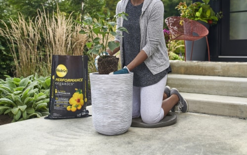 Miracle-Gro® Organics™ Performance All Purpose Potting Soil Perspective: top