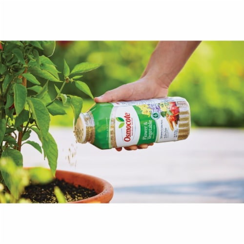 Osmocote® Flower & Vegetable Smart-Release® Plant Food Perspective: top