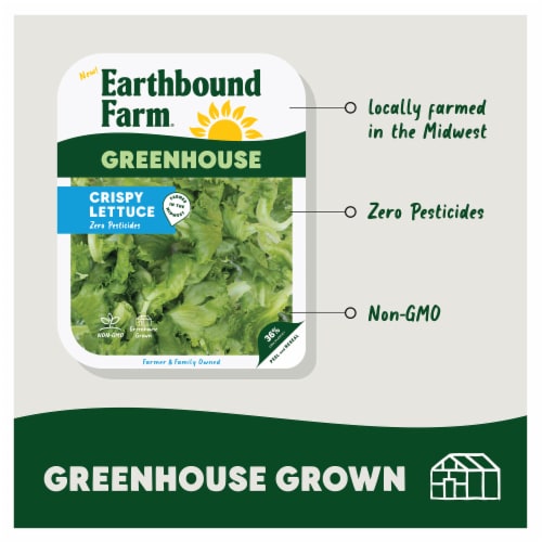 Earthbound Farm® Greenhouse Crisp Lettuce Perspective: top