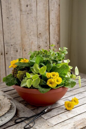 Myers-itml-akro Mils Clay Garden Bowls Perspective: top