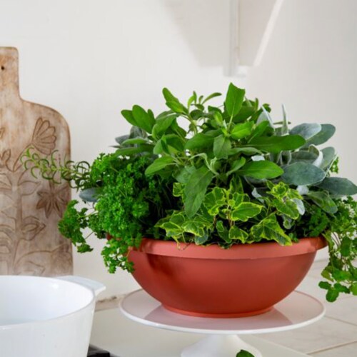 Akro-Mils Garden Bowl - Clay Perspective: top