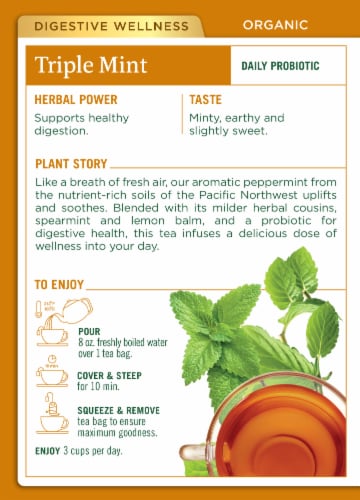 Traditional Medicinals Organic Peppermint Delight Probiotic Tea Perspective: top