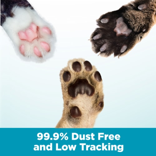 Cloud control cat litter sale