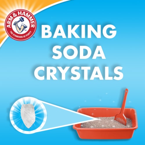 ARM & HAMMER Double Duty Clumping Cat Litter Perspective: top