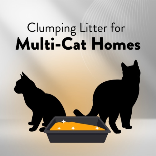 ARM & HAMMER Hardball Multi-Cat Clumping Cat Litter Perspective: top