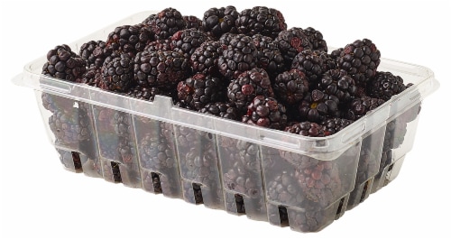Fresh Blackberries Perspective: top