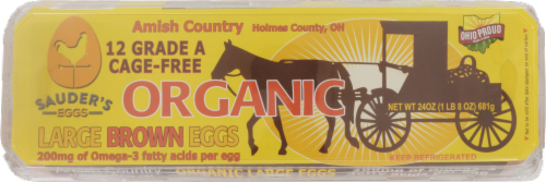 Amish Country Cage-Free Large Brown Organic Eggs Perspective: top