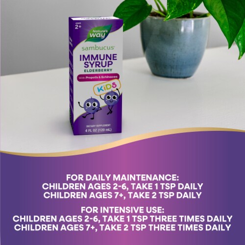 Nature's Way Sambucus Immune Kids Ages 2+ Elderberry Echinacea and Propolis Berry Flavored Syrup Perspective: top