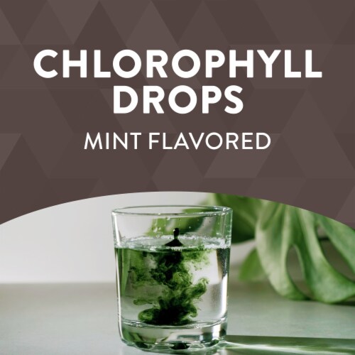Nature's Way® Chlorofresh® Mint Flavored Internal Deodorant Chlorophyll Drops 100 mg Perspective: top