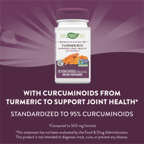 Nature's Way Premium Extract Turmeric Max Potency Vegan Capsules 750 mg Per Serving Perspective: top