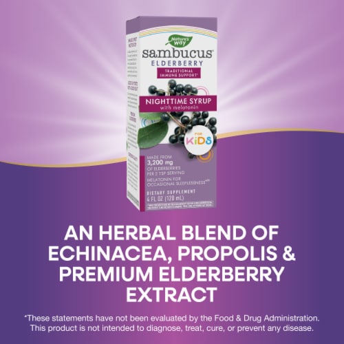 Nature's Way Sambucus Kids Nighttime Elderberry With Melatonin Traditional Immune Support Syrup Perspective: top