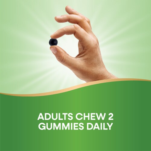 Nature’s Way Chlorofresh Chlorophyll Chlorophyllin Copper Complex Orchard Fruit Flavored Gummies Perspective: top