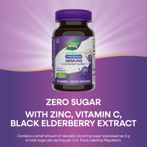 Nature’s Way Sambucus Kids Zero Sugar Immune Black Elderberry Extract Vitamin C Zinc Ages 2+ Gummies Perspective: top