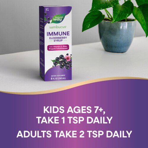 Nature's Way Sambucus Immune Elderberry With Vitamin C Zinc Echinacea Propolis Immune Support Syrup Perspective: top