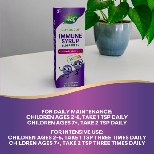 Nature's Way Sambucus for Kids Elderberry Syrup Perspective: top