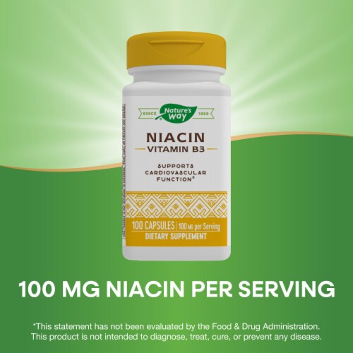 Nature's Way Niacin Vitamin B3 Capsules 100 mg Per Serving Perspective: top