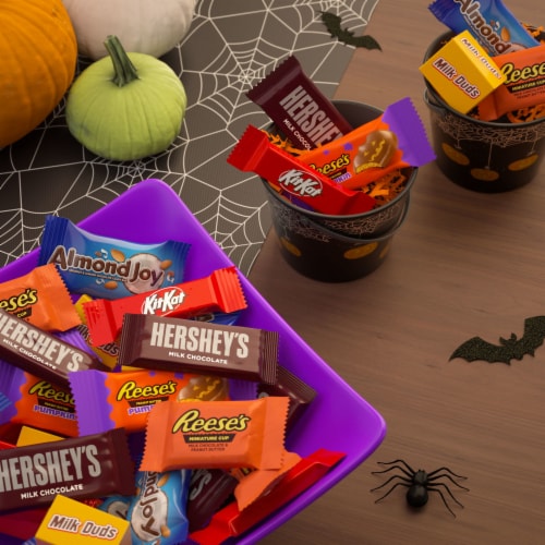 Hershey Assorted Flavored Halloween Candy Bulk Bag Perspective: top