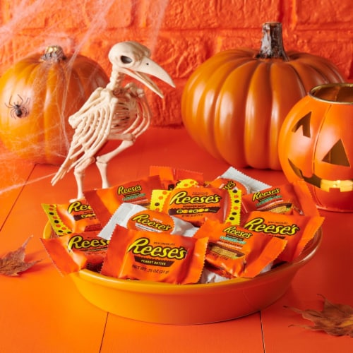Reese's Halloween Lovers Snack Size Peanut Butter Cups Assortment Perspective: top