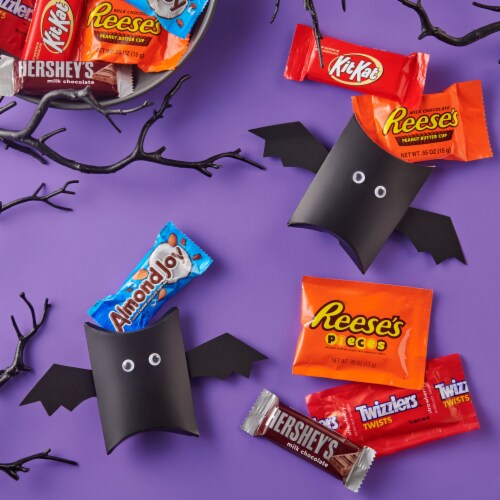 Hershey Assorted Chocolate Peanut Butter Fruit Flavored Snack Size Candy Halloween Perspective: top