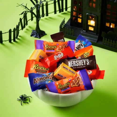 Hershey Assorted Chocolate Flavored Halloween Candy Variety Bag Perspective: top