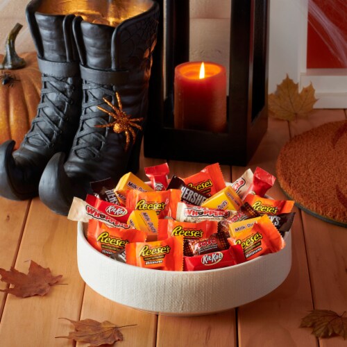 Hershey Assorted Chocolate Flavors Bite Size Halloween Candy Bulk Variety Bag Perspective: top