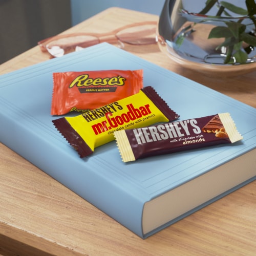 HERSHEY'S and REESE'S Assorted Chocolate Flavored Snack Size Halloween Candy Party Pack Perspective: top