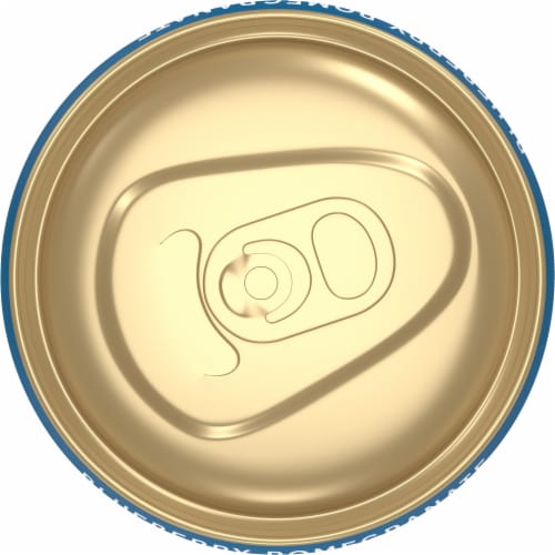Vizzy Blueberry Pomegranate Hard Seltzer Single Can Perspective: top