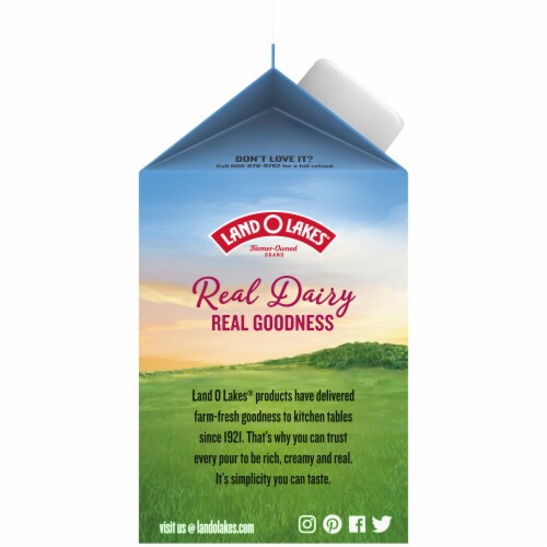 Land O' Lakes® 100 Real Milk and Cream Half and Half, 1 pt Kroger