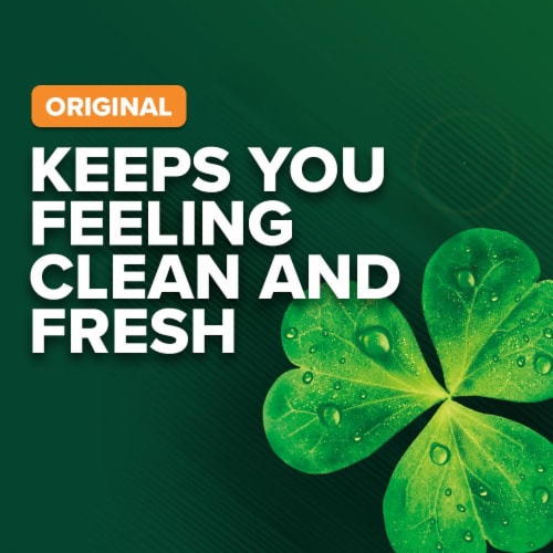 Irish Spring Original Scent Deodorant Bar Soap Perspective: top