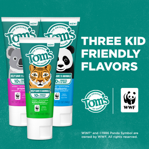 Tom's of Maine Children's Natural Fluoride Toothpaste Grape Perspective: top