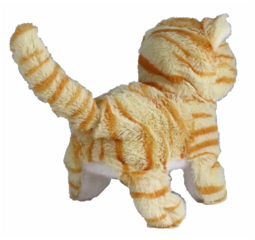 Casanova The Mechanical Kitten - Orange Striped Perspective: top