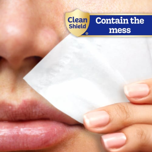 Kleenex Facial Tissue Pocket Packs Perspective: top