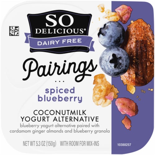 SO Delicious® piced Blueberry Coconutmilk Yogurt Alternative Perspective: top
