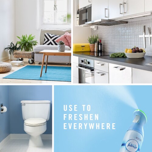 Febreze Air Effects Spring & Renewal Perspective: top