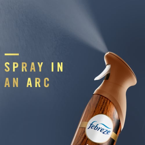 Febreze Ocean Scent Odor-Fighting Air Freshener Aerosol Can Twin Pack Perspective: top
