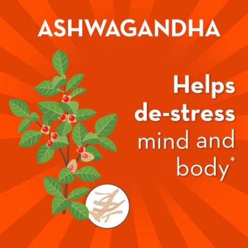Align Probiotic for Women and Men Digestive De-stress Capsules Perspective: top