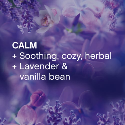 Downy Lavender & Vanilla Bean Infusions In-Wash Scent Booster Beads Perspective: top