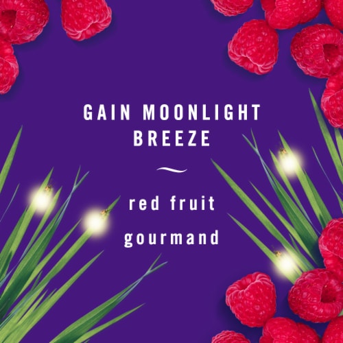 Febreze Gain Moonlight Breeze Scent Odor-Fighting Fabric Refresher Perspective: top