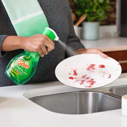 Gain Dish Spray Original Scent Dish Soap Starter Kit Perspective: top