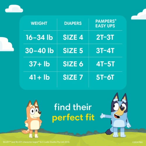Pampers Easy Ups Boys Training Underwear Size 5 3T-4T Perspective: top