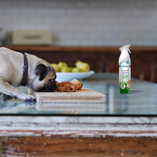 Febreze Pet Odor Fighter Fresh Scent Air Freshener Aerosol Can Value Pack Perspective: top