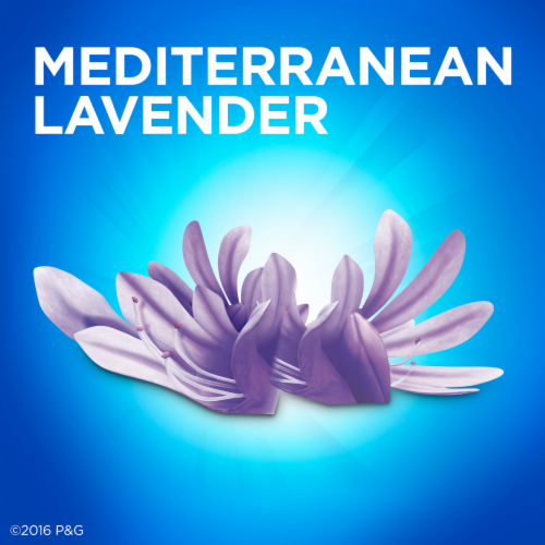 Dawn Ultra Escapes Mediterranean Lavender Scent Dishwashing Liquid Perspective: top