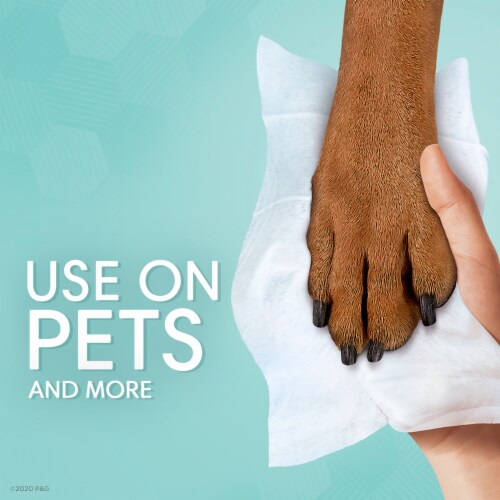 Pampers Expressions Fragrance Free Multi-Use Baby Wipes Perspective: top