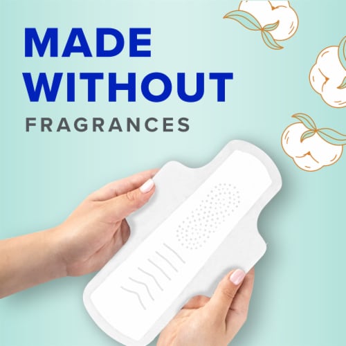 Always Pure Cotton Feminine Pads for Women, Size 1, Regular, unscented with wings Perspective: top