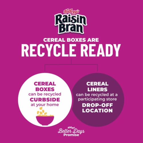 Kellogg's Raisin Bran Crunch Toasted Oats and Honey Cold Breakfast Cereal Perspective: top