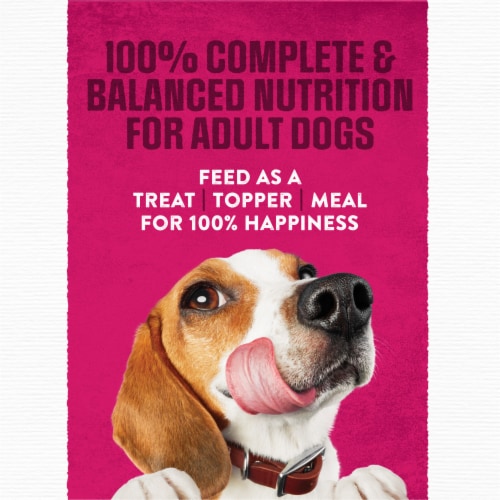 Purina Moist and Meaty Steak Flavor Soft Dog Food Pouches Perspective: top
