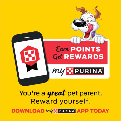Purina Beggin' Strips Dog Treats with Bacon & Cheese Flavors Perspective: top