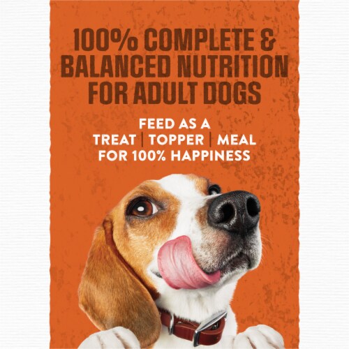 Purina Moist and Meaty Semi-Moist Dog Food Pouches Chopped Burger with Cheddar Cheese Perspective: top