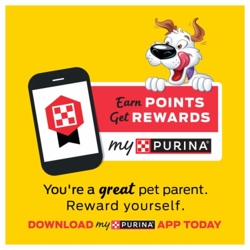Purina Beggin' Strips Fun Size Original Dog Treats with Bacon Flavor Perspective: top