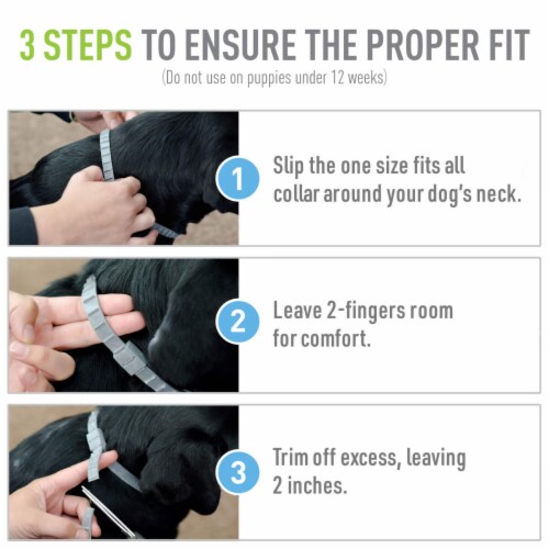 Adams Flea & Tick Collar For Dogs & Puppies Perspective: top